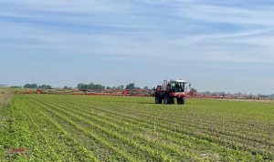 Maisspuiten Agrifac veldspuit